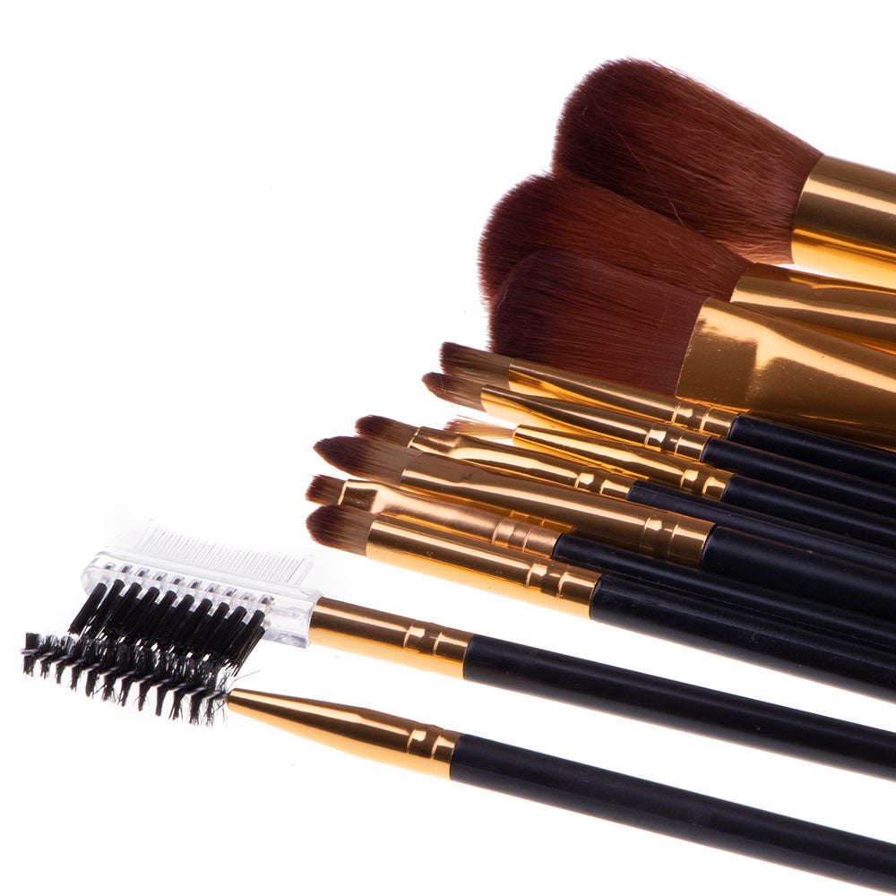 12 Pc Makeup Brush Set