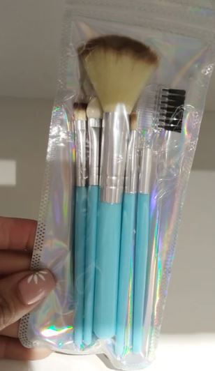 Budget Friendly Makeup Brush Set