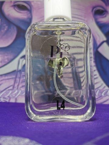 L4 Woman Dolce & Gabbana Light Blue
