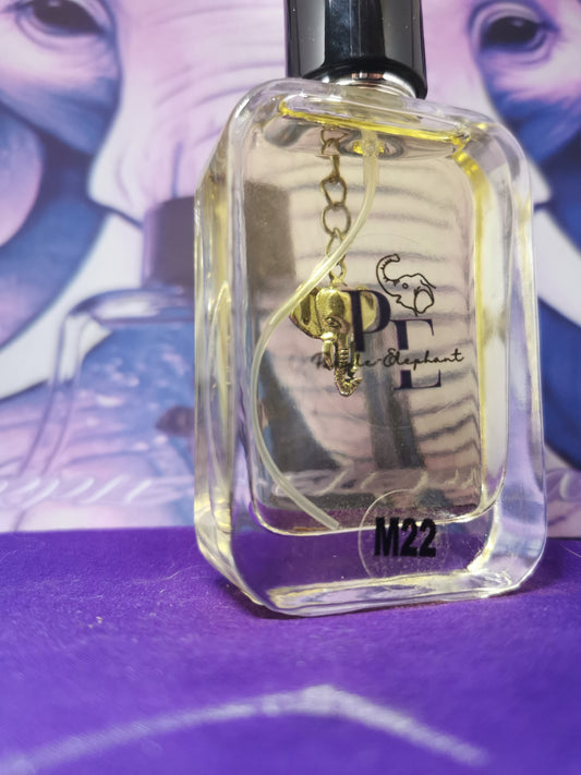 M22 Kouros - Yves Saint Laurent