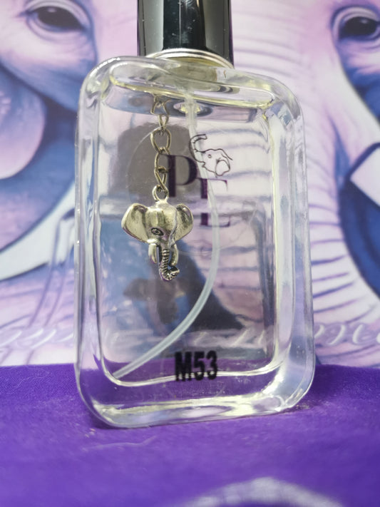 M53 Paco Rabanne One Million
